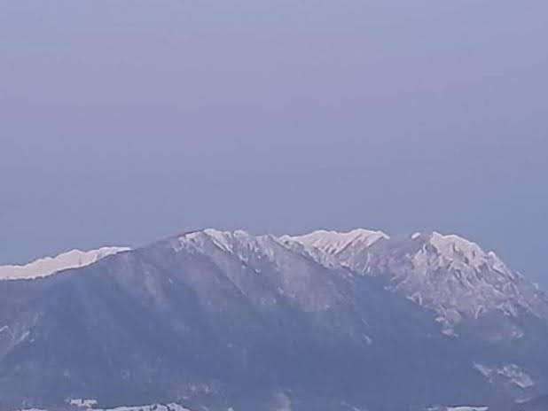 Edelweiss Ilinca Διαμέρισμα Zărneşti Εξωτερικό φωτογραφία